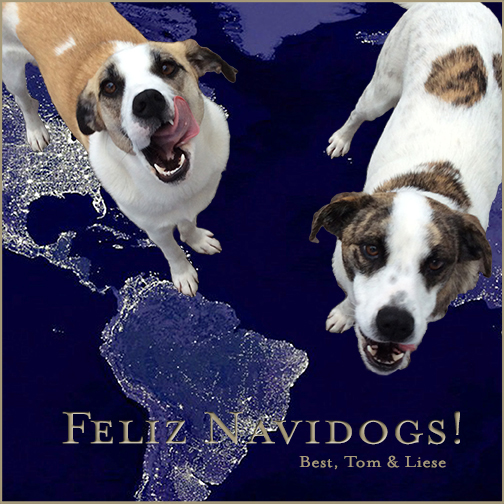 FelizNavidogs2013 copy